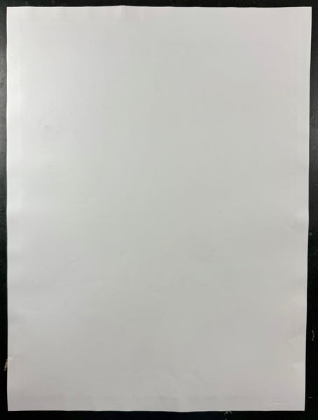 AUCTION - Audioslave - Los Angeles '05 - Green/Orange Variant - Edition of 16 - Emek - Excellent