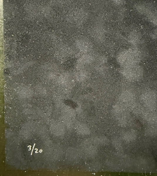 AUCTION - Sonic Youth - Los Angeles '10 - Black Velvet Variant - Edition of 20 - Emek - Near Mint