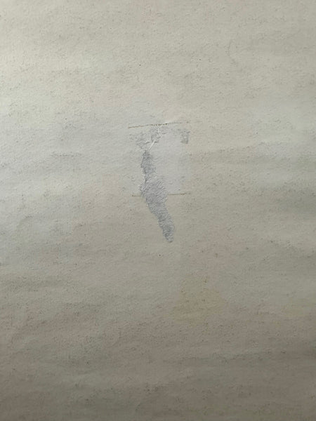 AUCTION - The Doors - Gary Grimshaw Signed - 1968 Poster - Cobo Arena - Good