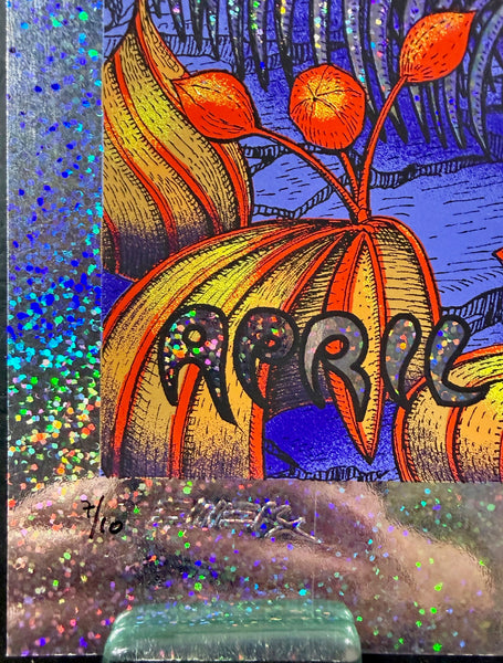 AUCTION - Coachella - Indio '10 - Sparkle Foil  Edition - Emek - Very Good - SF Rock Posters & Collectibles