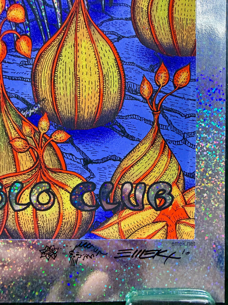AUCTION - Coachella - Indio '10 - Sparkle Foil  Edition - Emek - Very Good - SF Rock Posters & Collectibles
