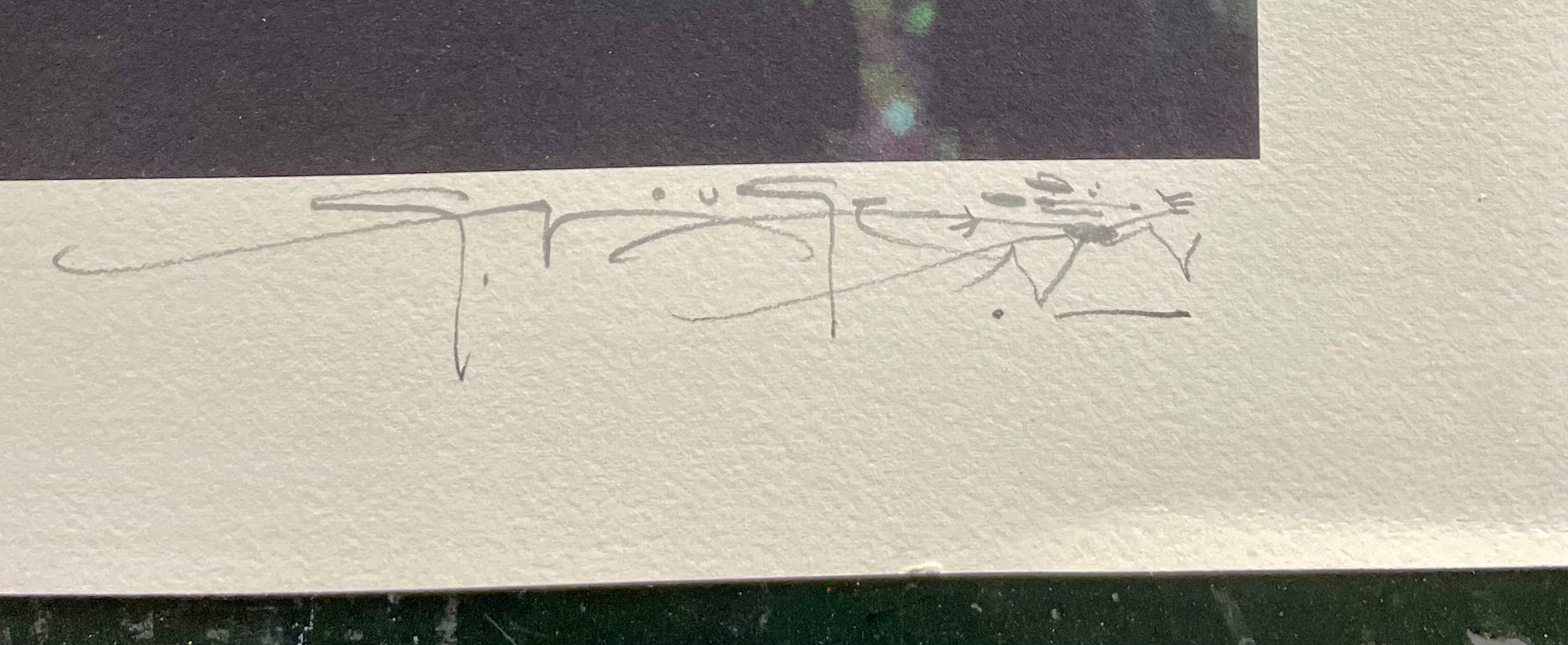 AUCTION - Stanley Mouse - SIGNED Self-Portrait - Test Print Poster