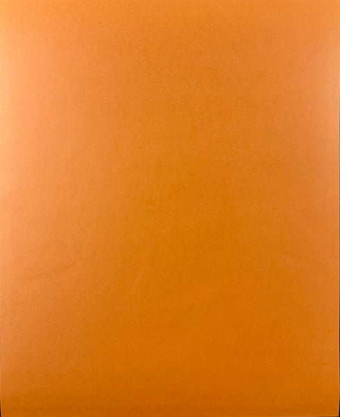 AUCTION - The Cure - Todd Slater - 2008 Poster - Wachovia Spectrum PA - Near Mint