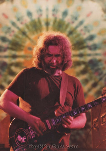 AUCTION - Grateful Dead - Jerry Garcia - Live Concert - 1983 Photograph - Mint
