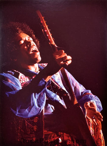 AUCTION - Jimi Hendrix - Concert Photograph - Jim Marshall Signed - Excellent